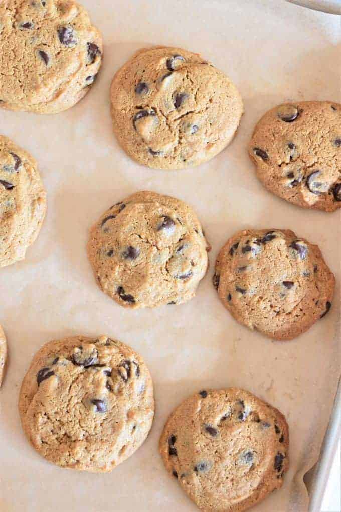 Vegan, GlutenFree Chickpea Flour Chocolate Chip Cookies Watch Learn Eat