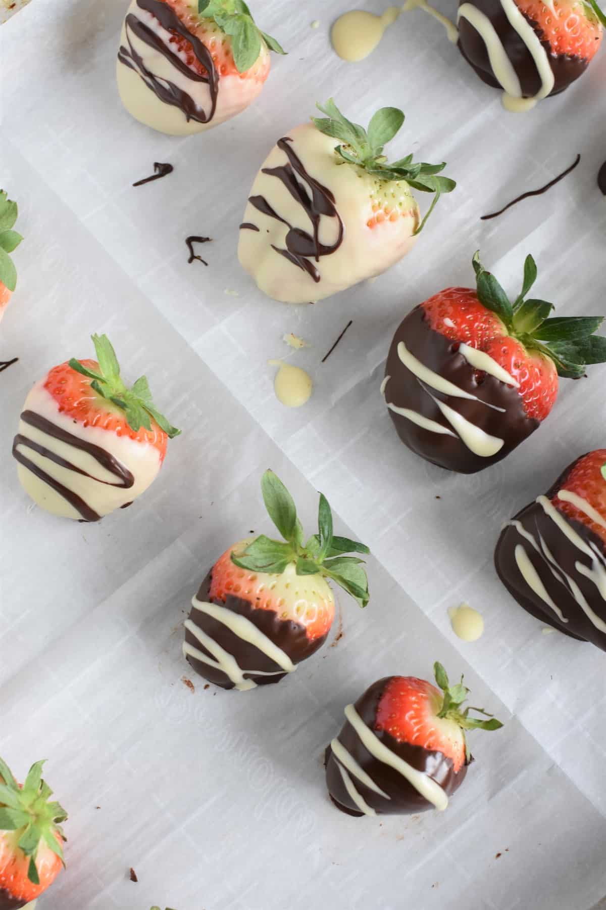 Dark and white chocolate dipped strawberries on parchment after setting in fridge
