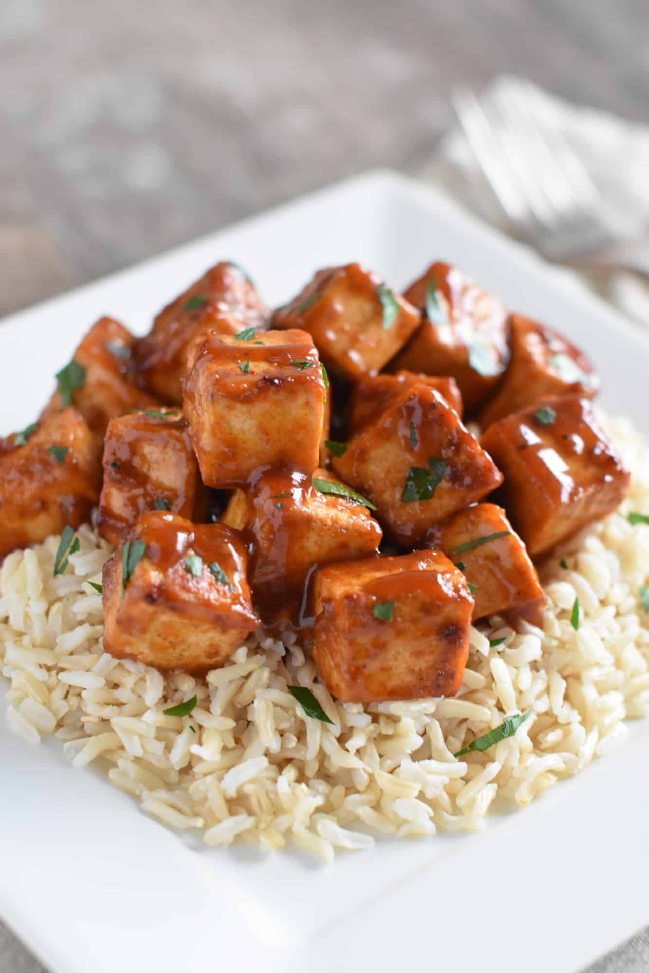 front view of tofu over rice on a white plate