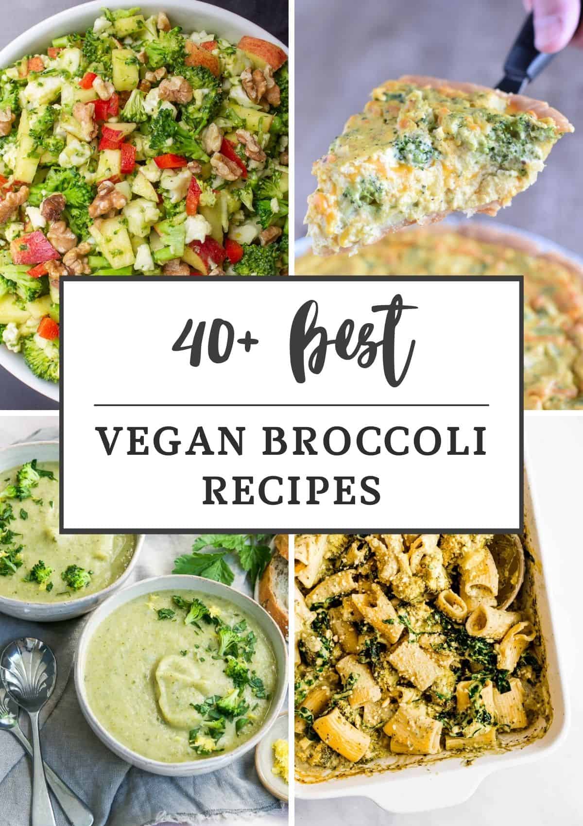 Collage of four vegan broccoli recipes with text title overlay.