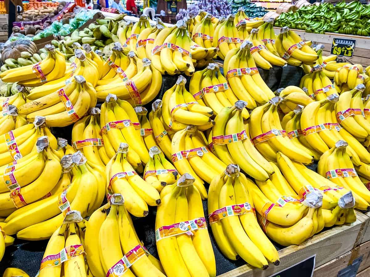 Bananas displayed for sale grocery store.