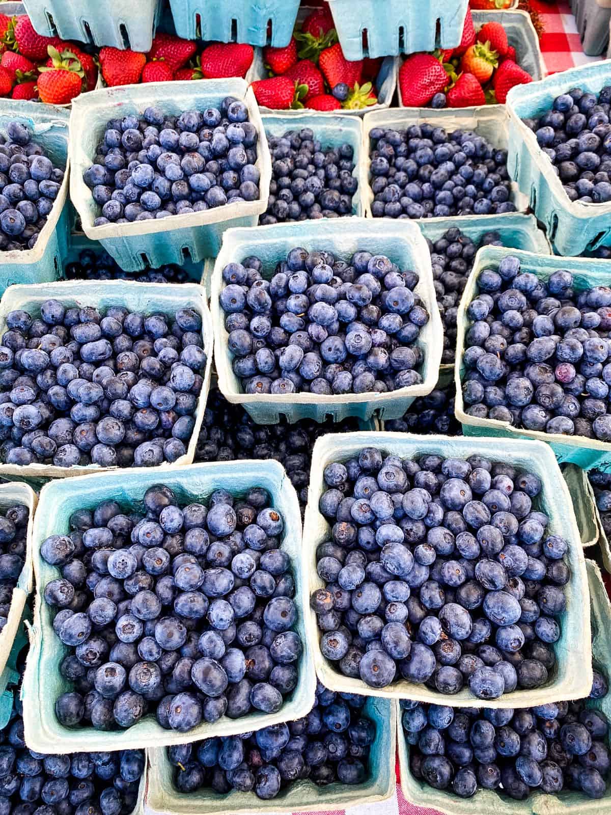 Blueberries at farmers market.