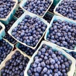 Blueberries in containers at farmers market.