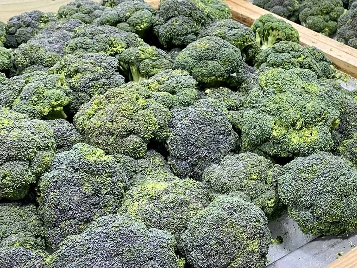 How Long Does Broccoli Last?