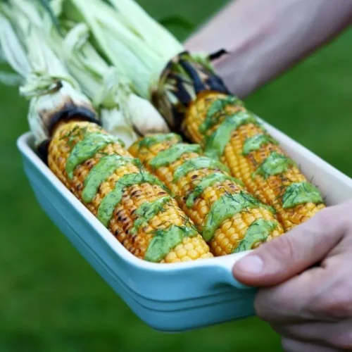 Grilled corn on the cob avocado dill dressing in a dish.
