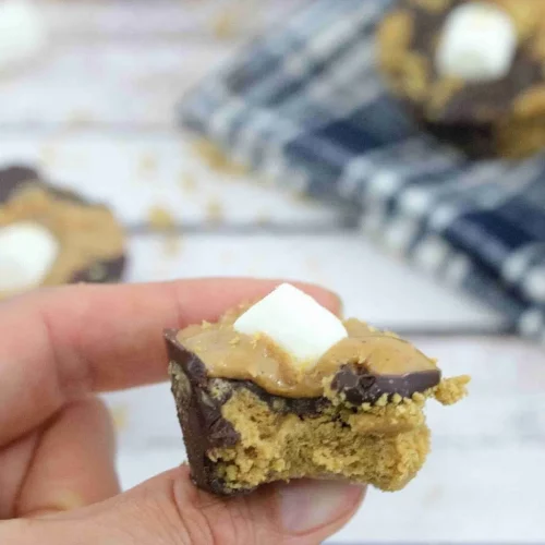Hand holding Dairy Free S'mores Cups.