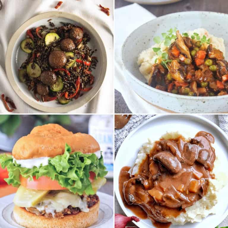 collage of 4 of the mushroom recipes from the collection.