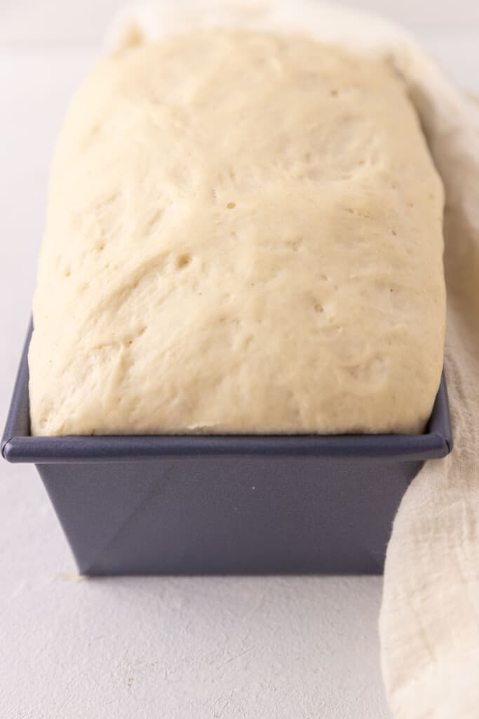 Bread batter in loaf pan.
