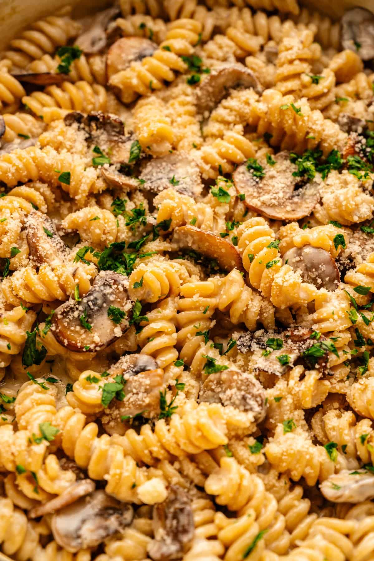 Close-up of creamy mushroom ricotta pasta served in a bowl showing the rich and silky sauce