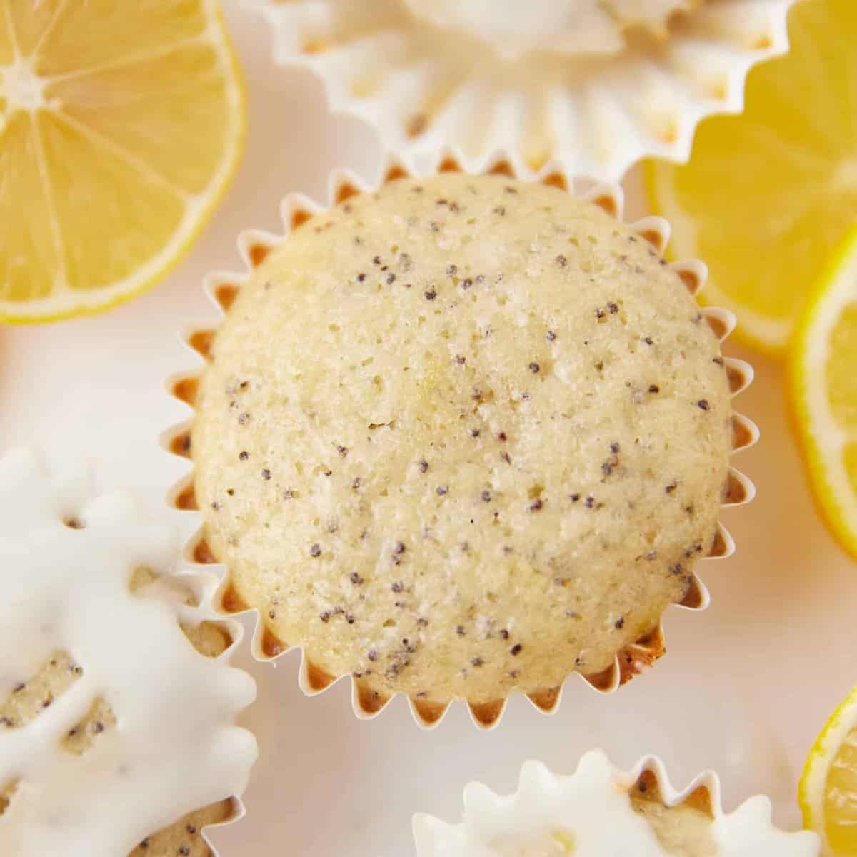 single overhead shot of a Lemon poppy seed muffin.