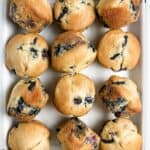 rows of Dairy Free Blueberry Muffins in a white baking pan
