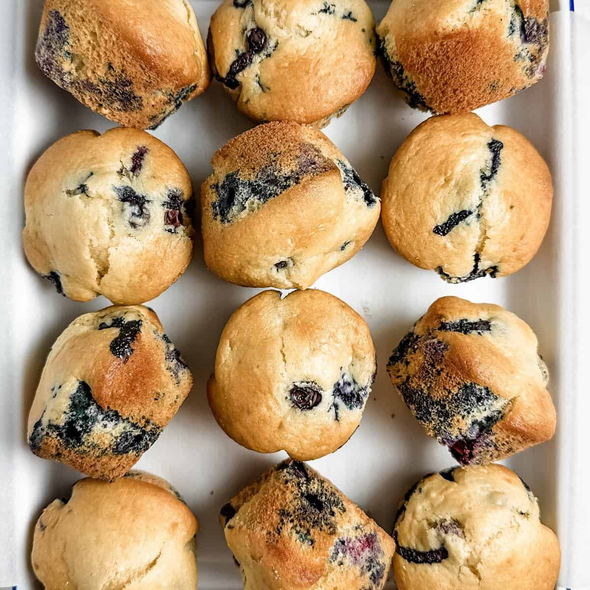 Dairy-free blueberry muffins are lined up on a white baking sheet