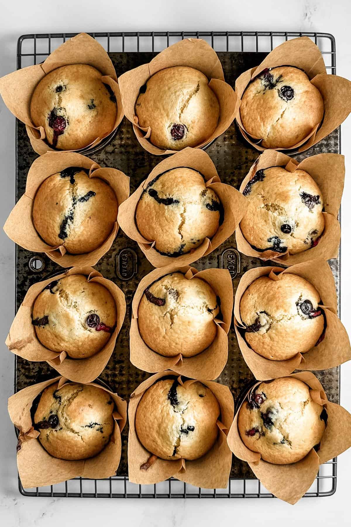Freshly baked blueberry muffins on a wire rack