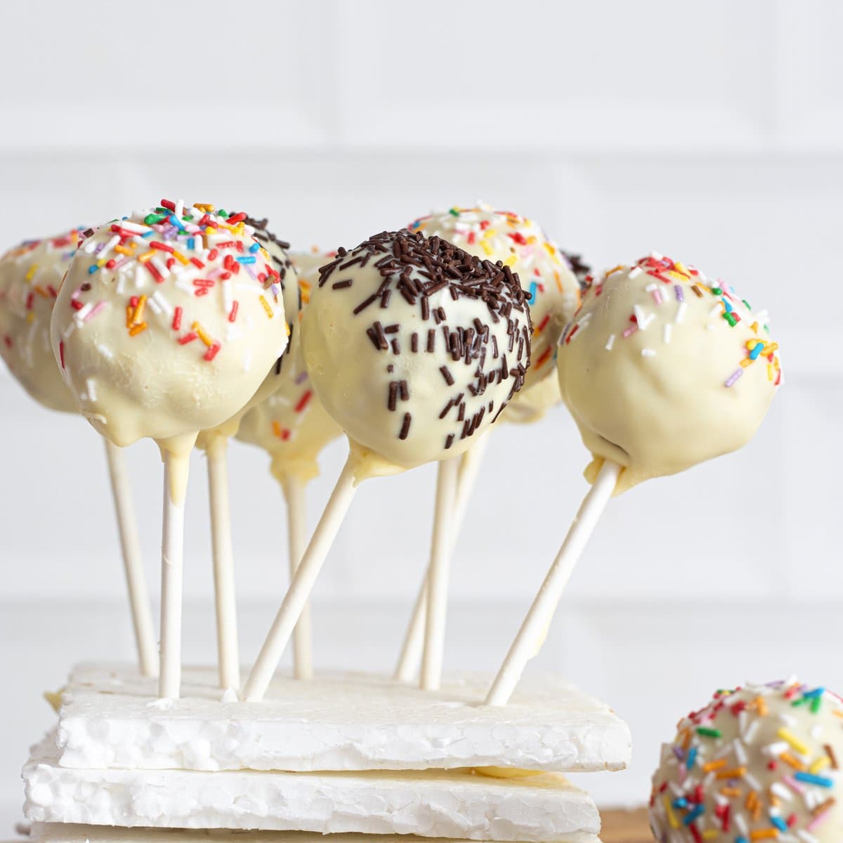 Vegan cake pops are dipped in melted vegan white chocolate, garnished with sprinkles and vegan dark chocolate sprinkles, placed in styrofoam and arranged on cake pop sticks.
