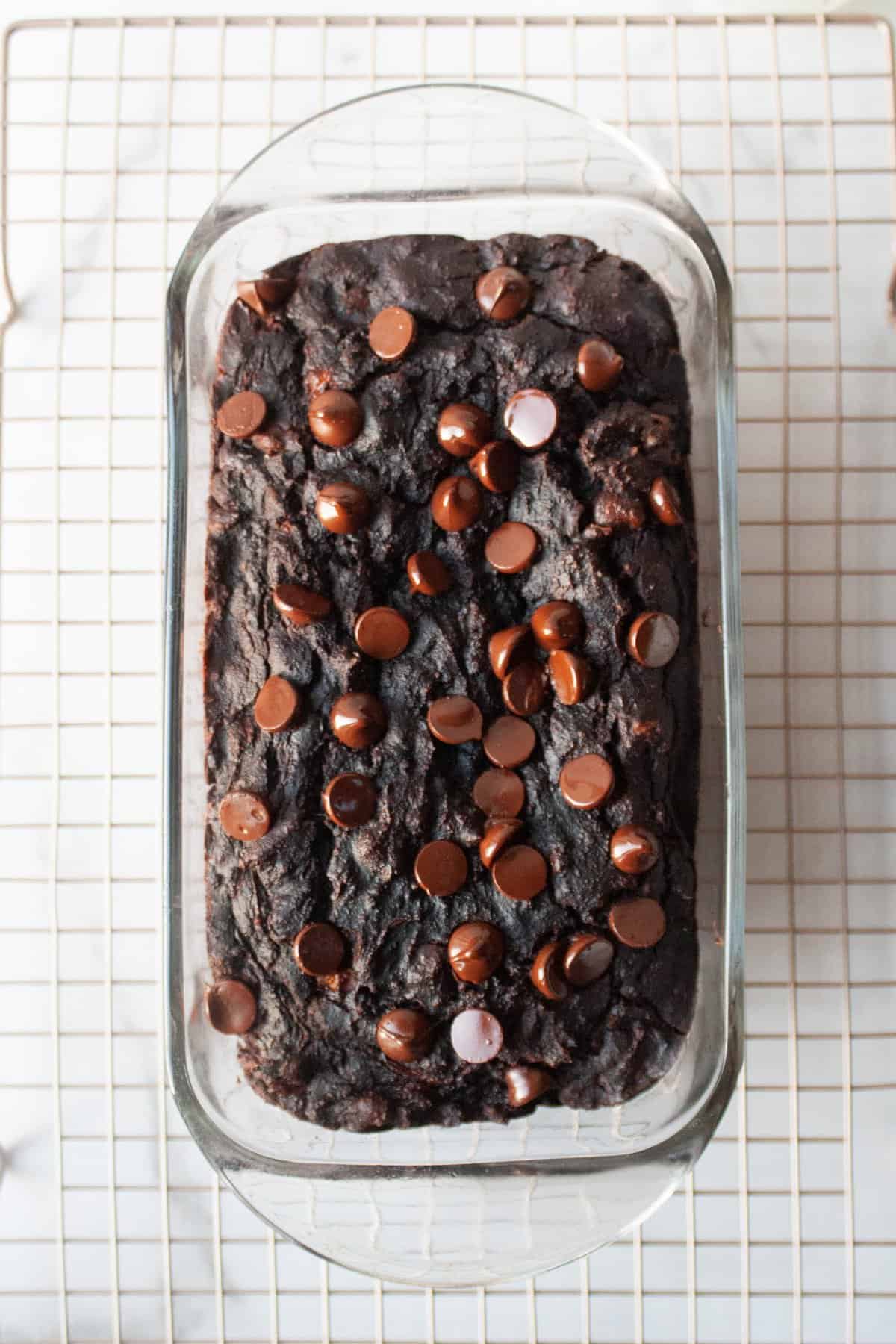 Chocolate loaf cake in a glass pan on a wire rack, topped with melty chocolate chips on a marble surface