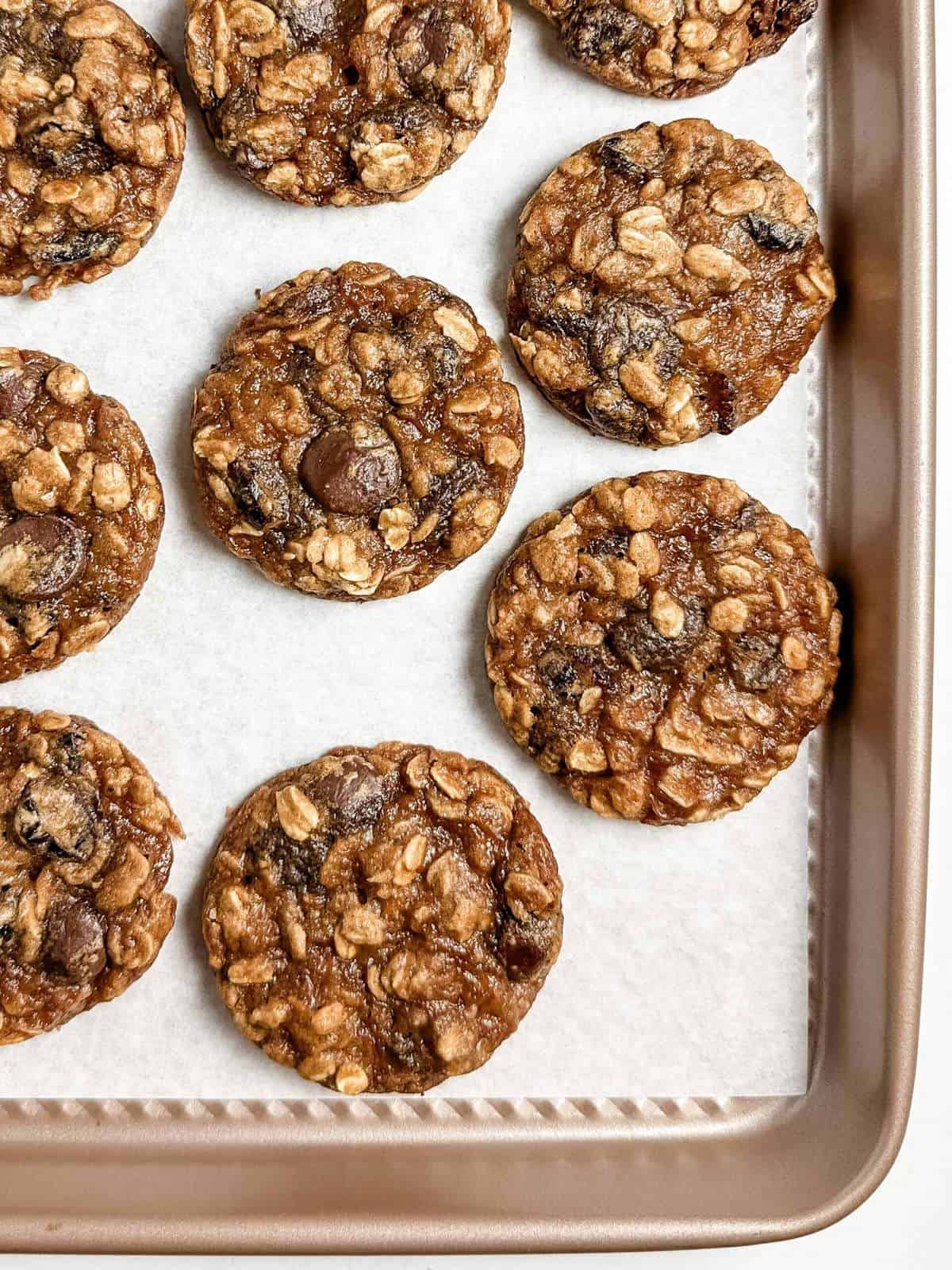 close-up of vegan oatmeal chocolate chip cookies on a parchment-lined gold baking sheet